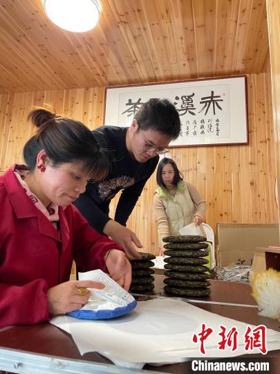 資料圖：杜贏(左二)在整理白茶餅?！×执阂?攝